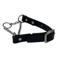 Martingale Collar for Dogs Biothane Stainless Steel Hardware G4549