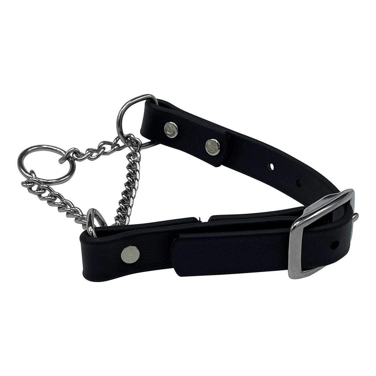 Martingale Collar for Dogs Biothane Stainless Steel Hardware G4549