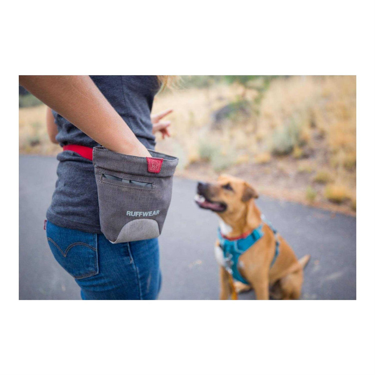 Pet Supplies X564
