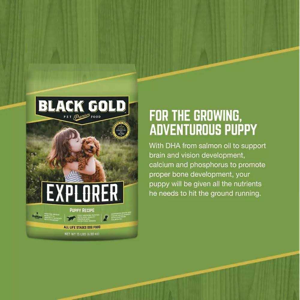 Dry Dog Food R5720