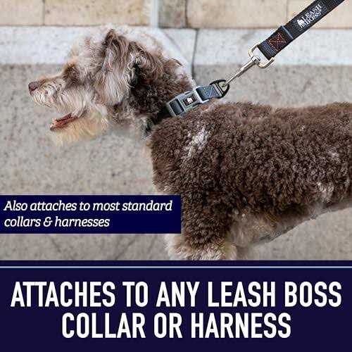 10 Foot Dog Leash with Padded Handle X1269