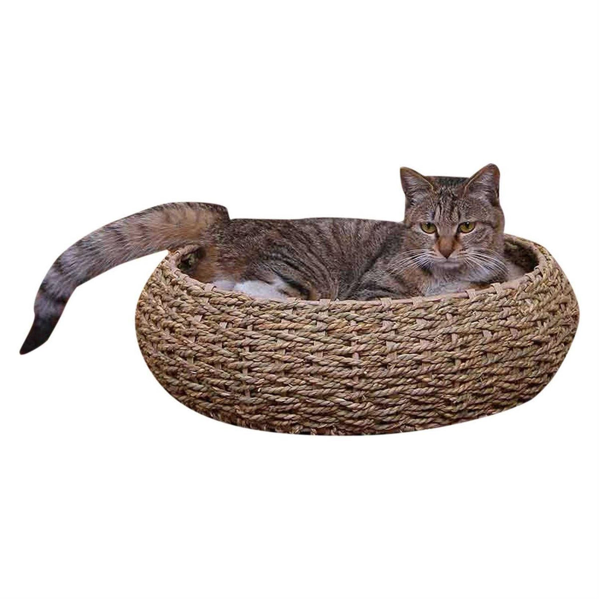Seagrass Pet Bed W53806
