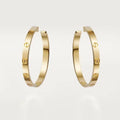 Earrings M148069
