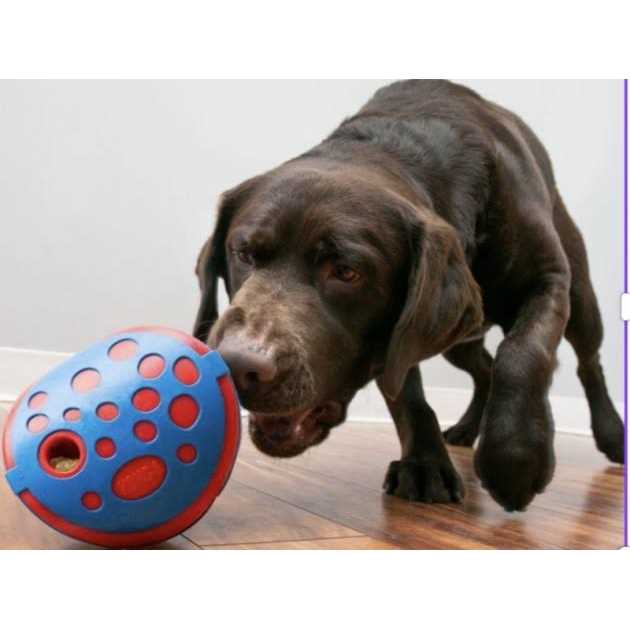 Dog Toy M341