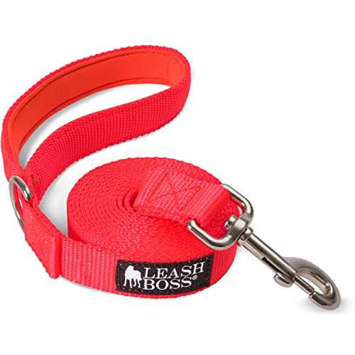 10 Foot Dog Leash with Padded Handle X1269