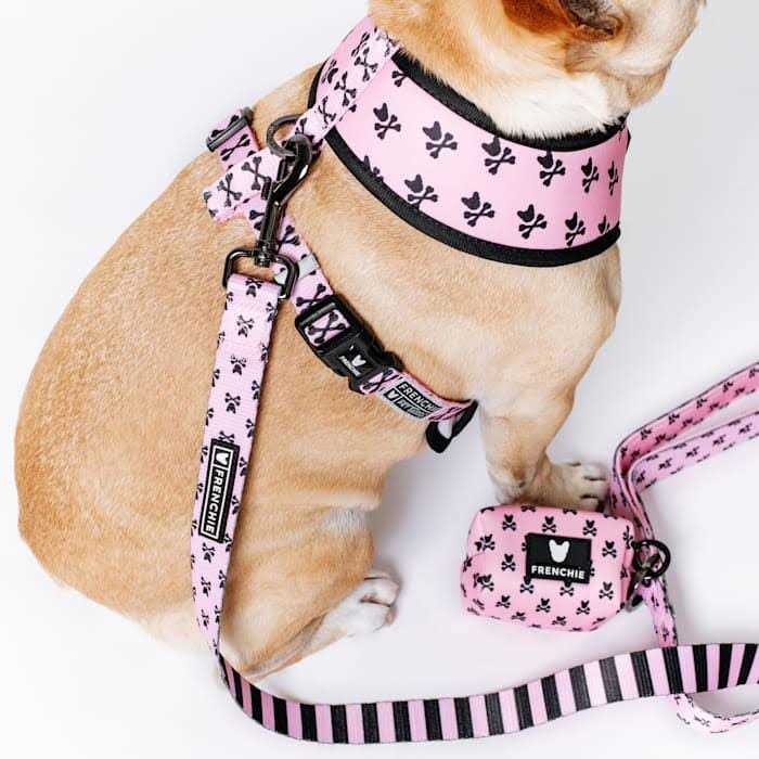Reversible Harness L264753