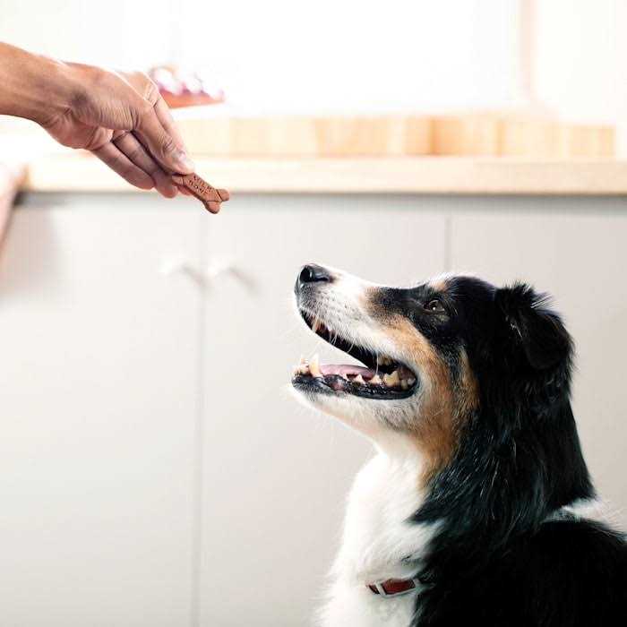 Soft & Chewy Chicken Dog Treats M951