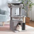 32 Inches Gray Cat Tree with Hammock and Scratching Post N431454