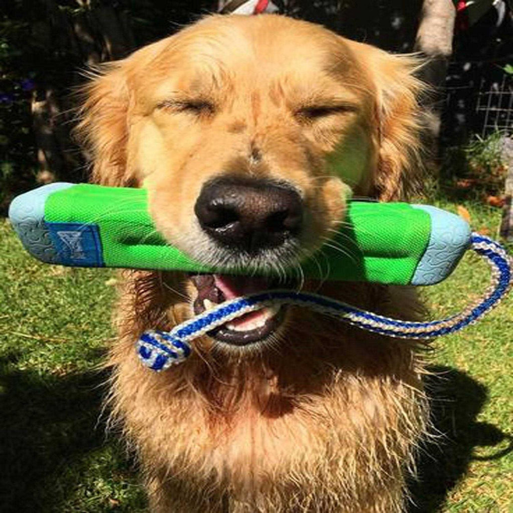 Amphibious Bumper Toy X7508