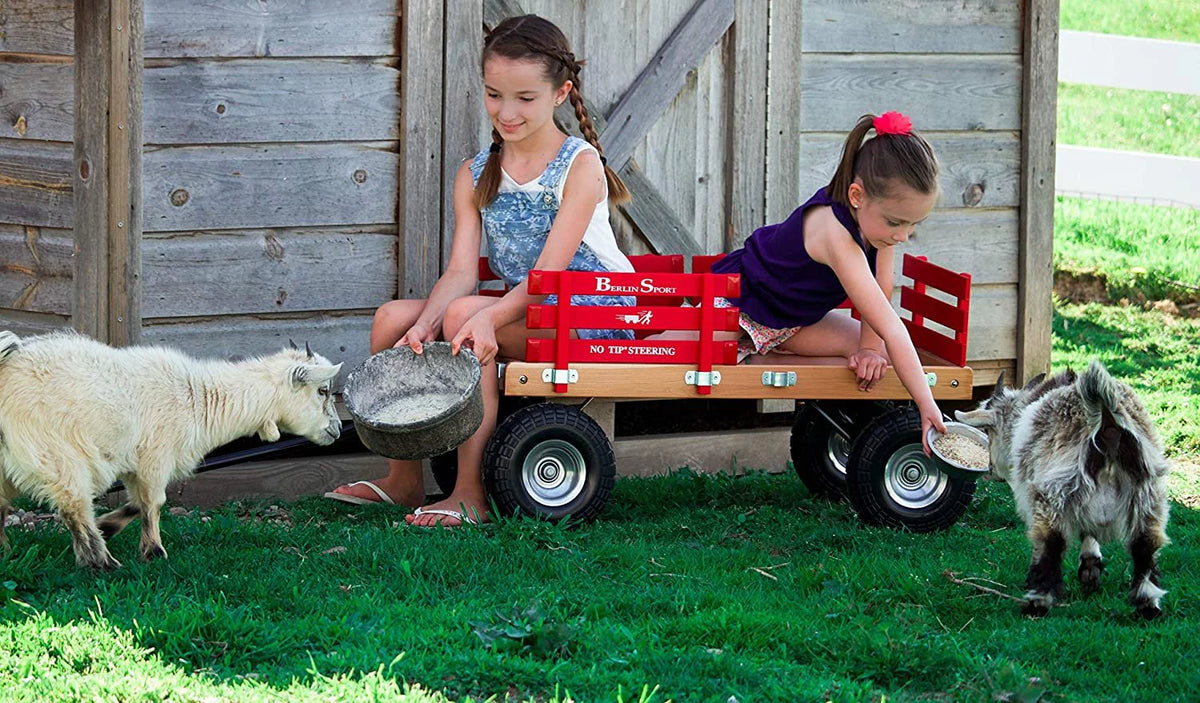 Sport Wagon with 10" No-Flat Tires Red X252562