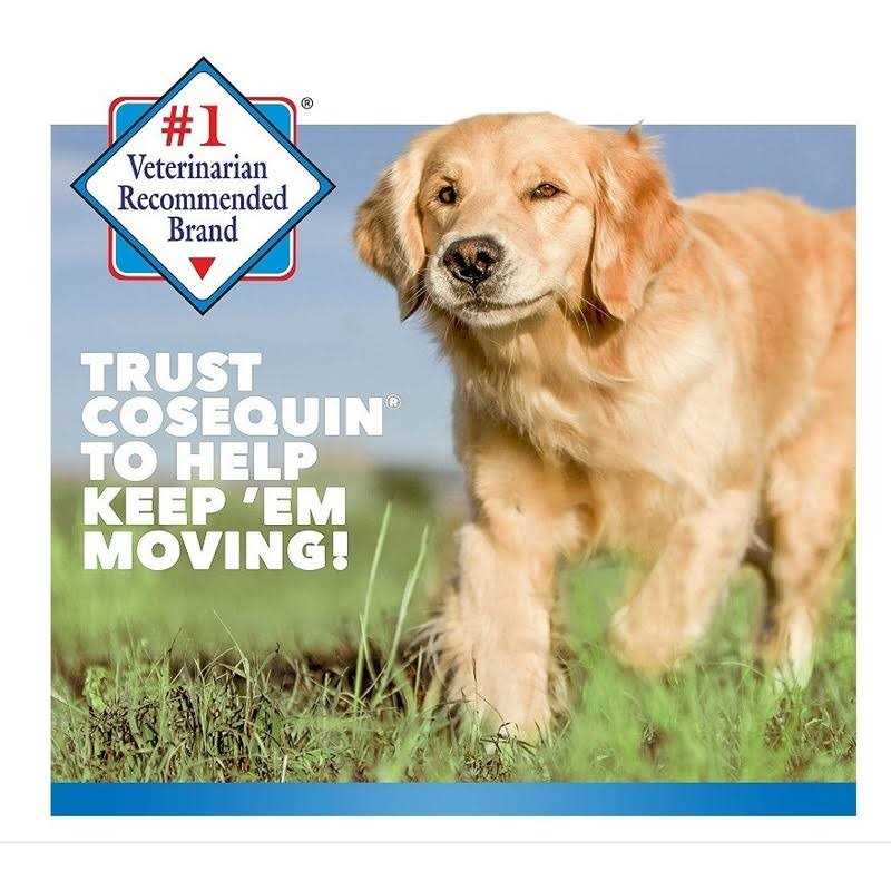 Dog Supplement T91931