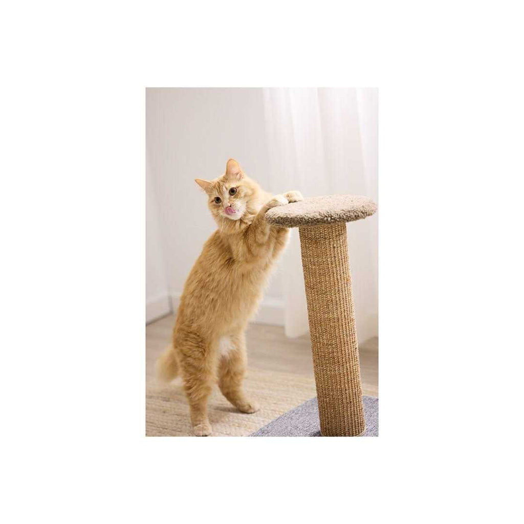 Scratch Post J404382