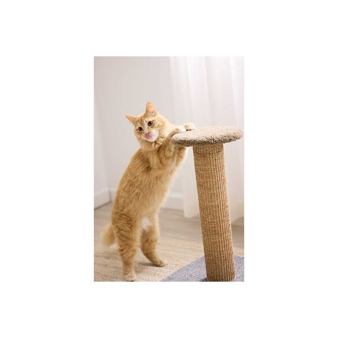 Scratch Post J404382