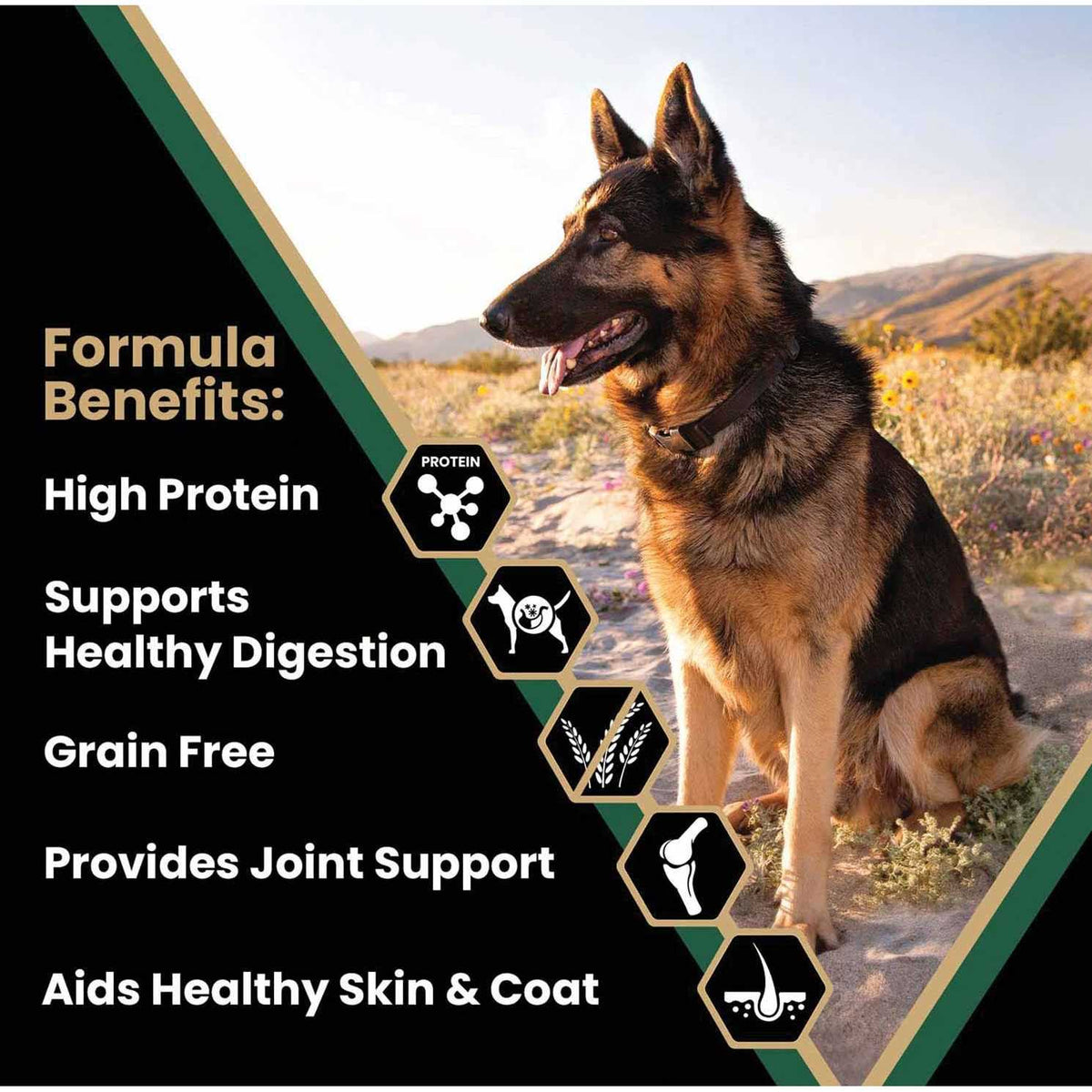 Grain Free Dry Dog Food P680