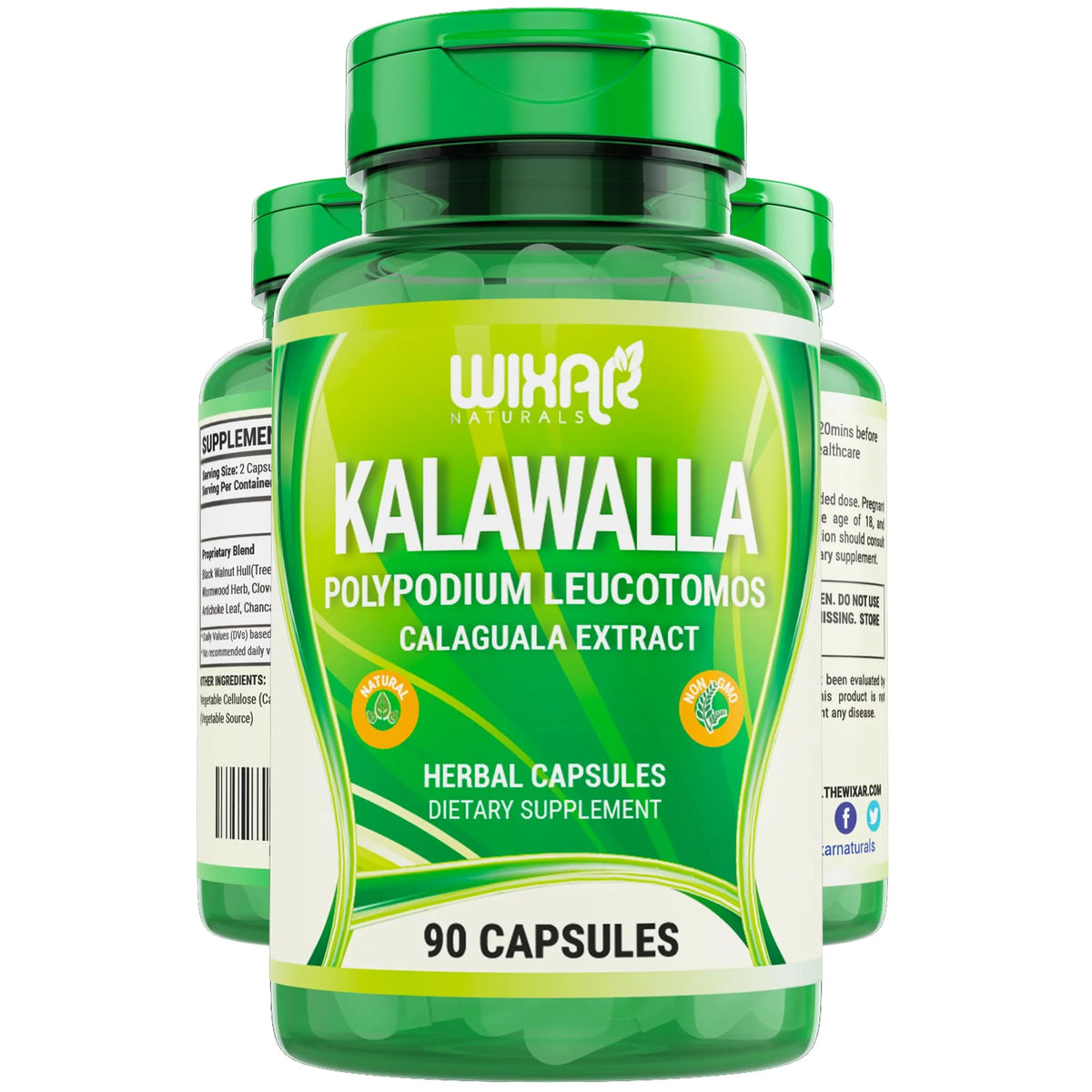 90 Capsules Vegetarian Immune Support Supplement R9904