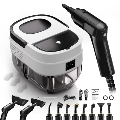 2500w Handheld Steam Cleaner D6519