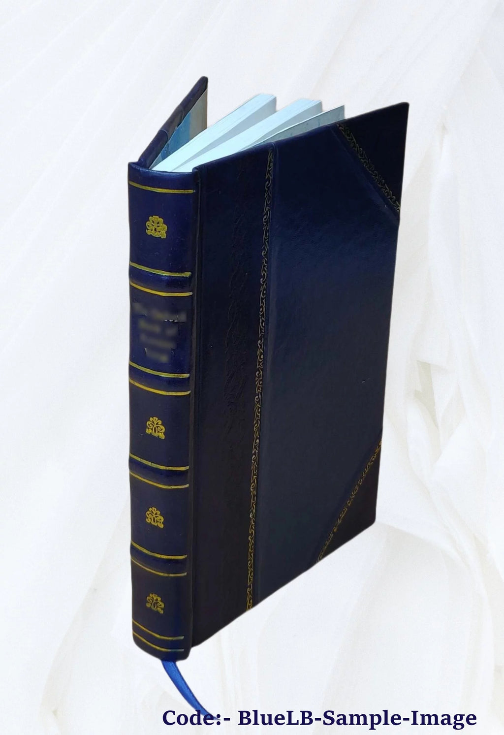 Guida descrittiva e medica alle acque minerali ed ai bagni d'Italia 1896 Leather Bound U667128