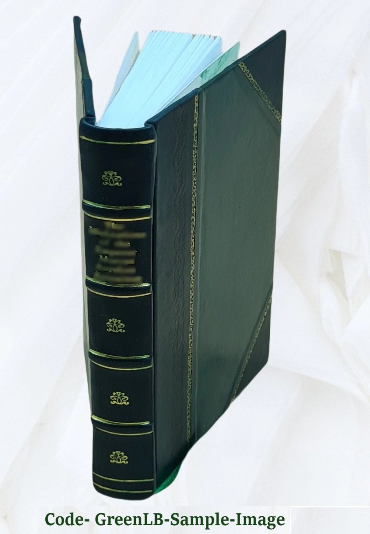 Guida descrittiva e medica alle acque minerali ed ai bagni d'Italia 1896 Leather Bound U667128