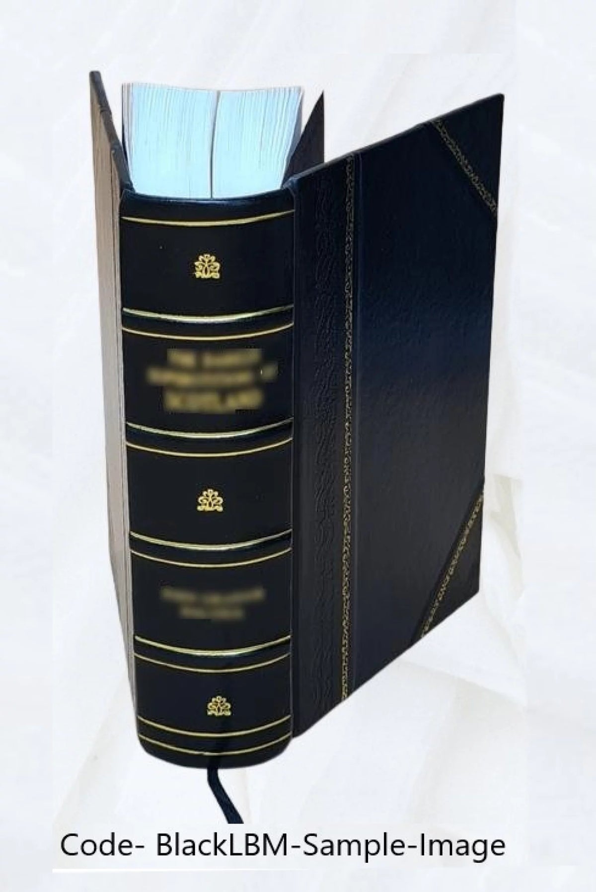 Leather Bound Book P267080