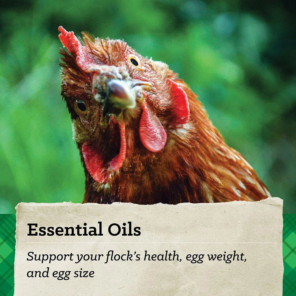 40 lb Chicken Feed Q657497