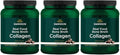 Chocolate Bone Broth Collagen 19.5 oz Powder 3 Pack H63761