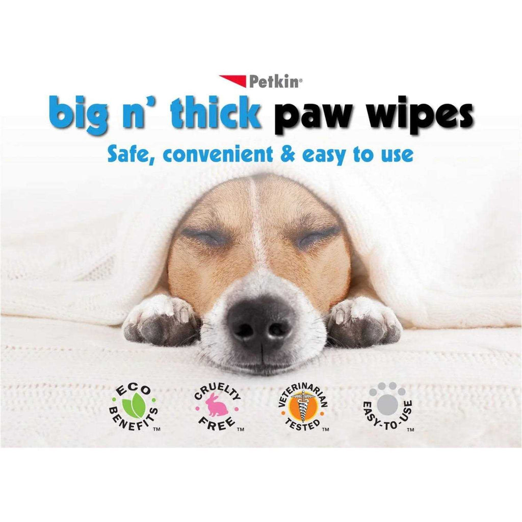 Pet Wipes B570
