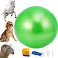 30 Inch Anti-Burst Mega Herding Ball with Pump L562138