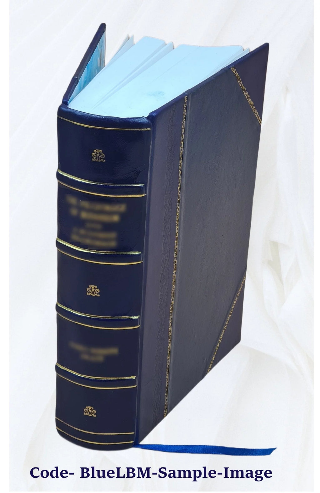 Leather Bound Book P267080