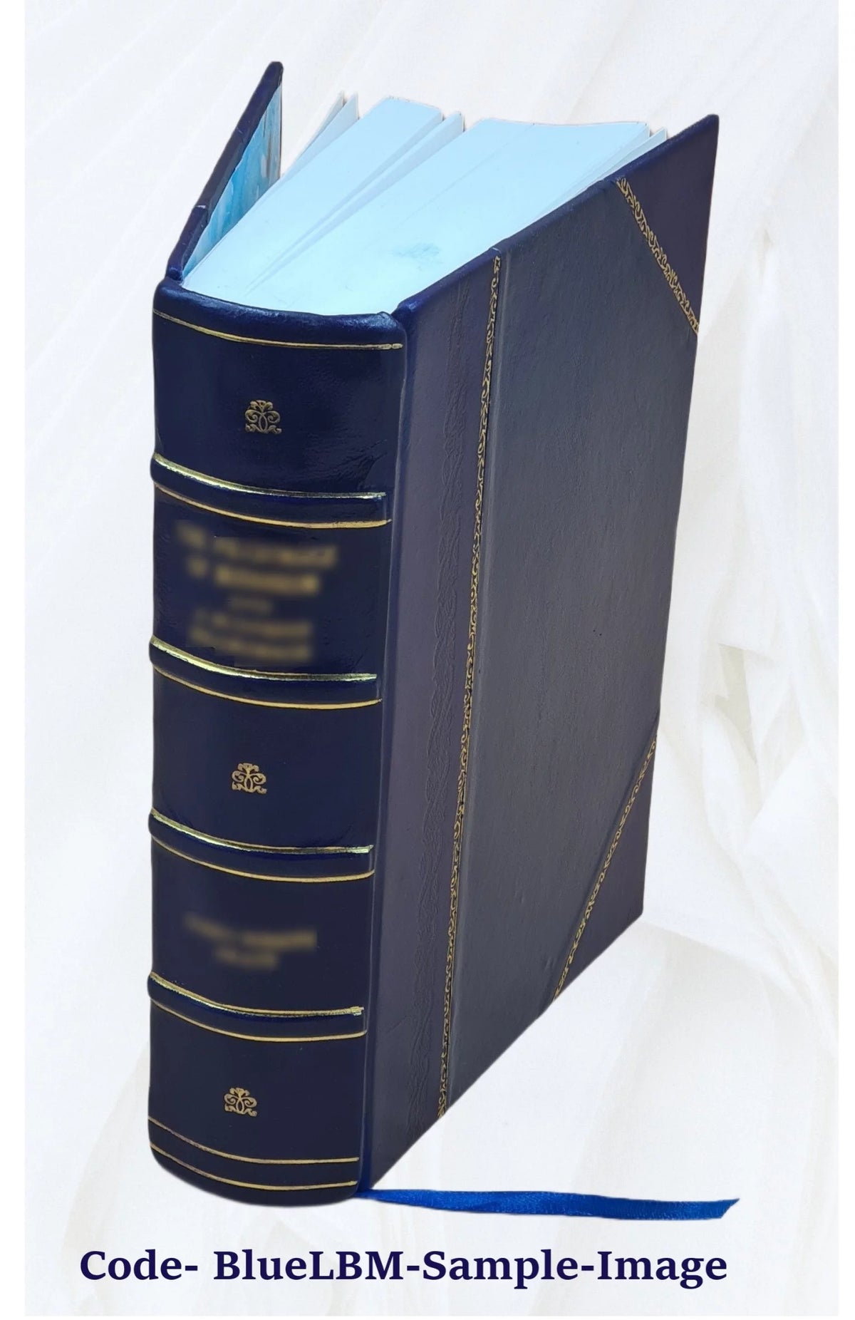 Leather Bound Book P267080