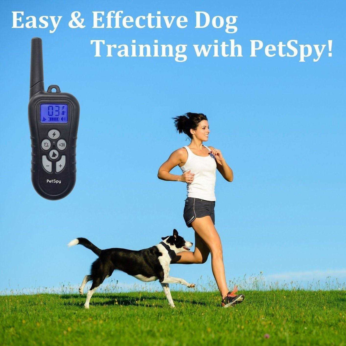 Remote Dog Training Collar X3337