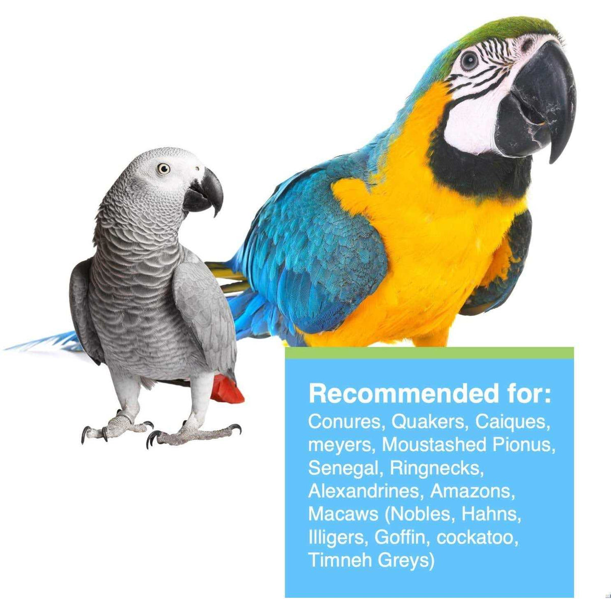 Large Parrots Pet Supplies F4620