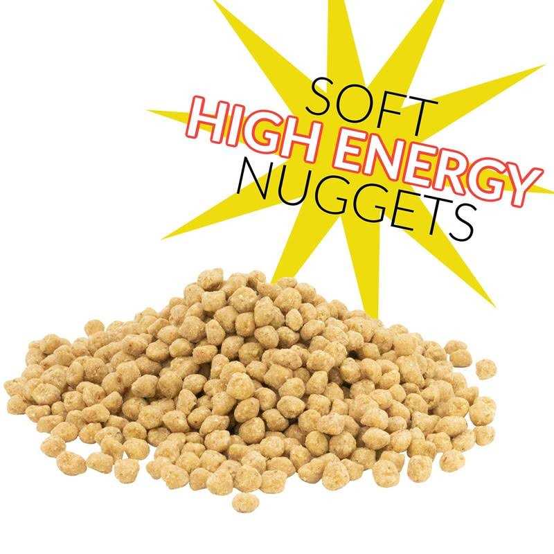 Peanut Suet Nuggets R41700
