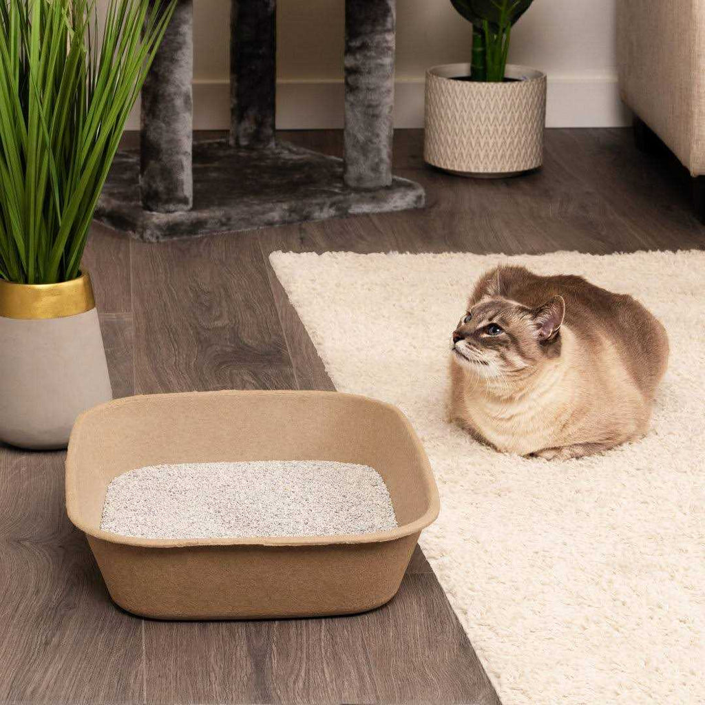 Disposable Sifting Litter Box W10102