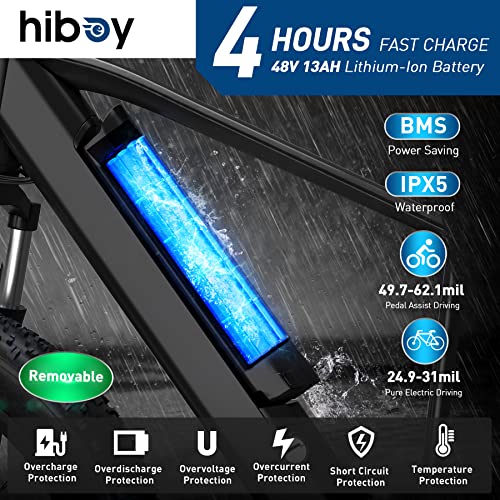 1000W 48V 13Ah Fat Tire Electric Bike Q2388
