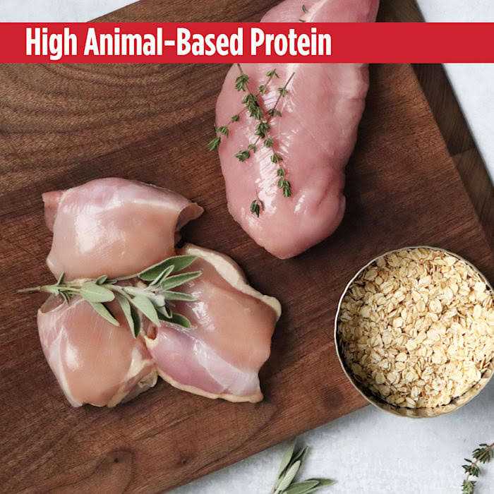 Puppy Turkey Dry Dog Food X574255