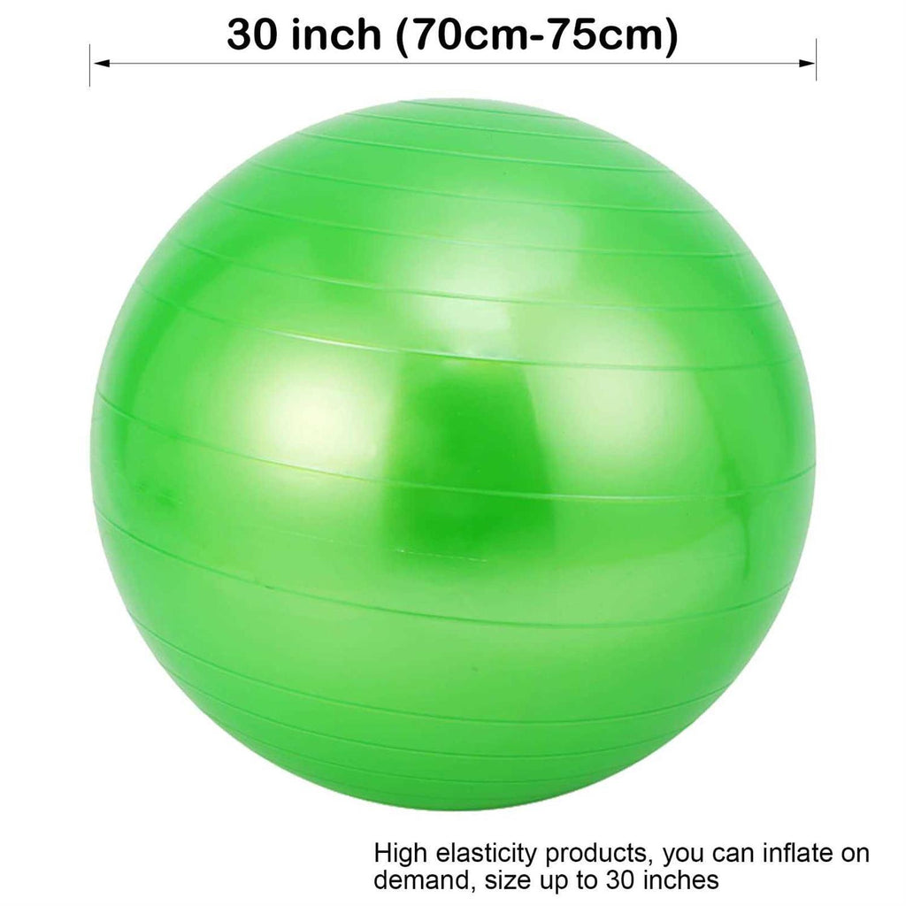 30 Inch Anti-Burst Mega Herding Ball with Pump L562138
