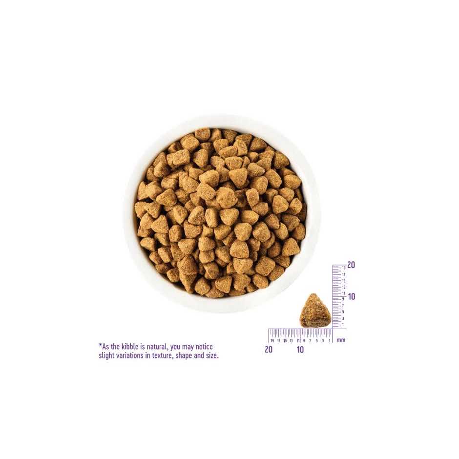 Deboned Chicken & Chicken Meal Grain-Free Dry Dog Food H7834