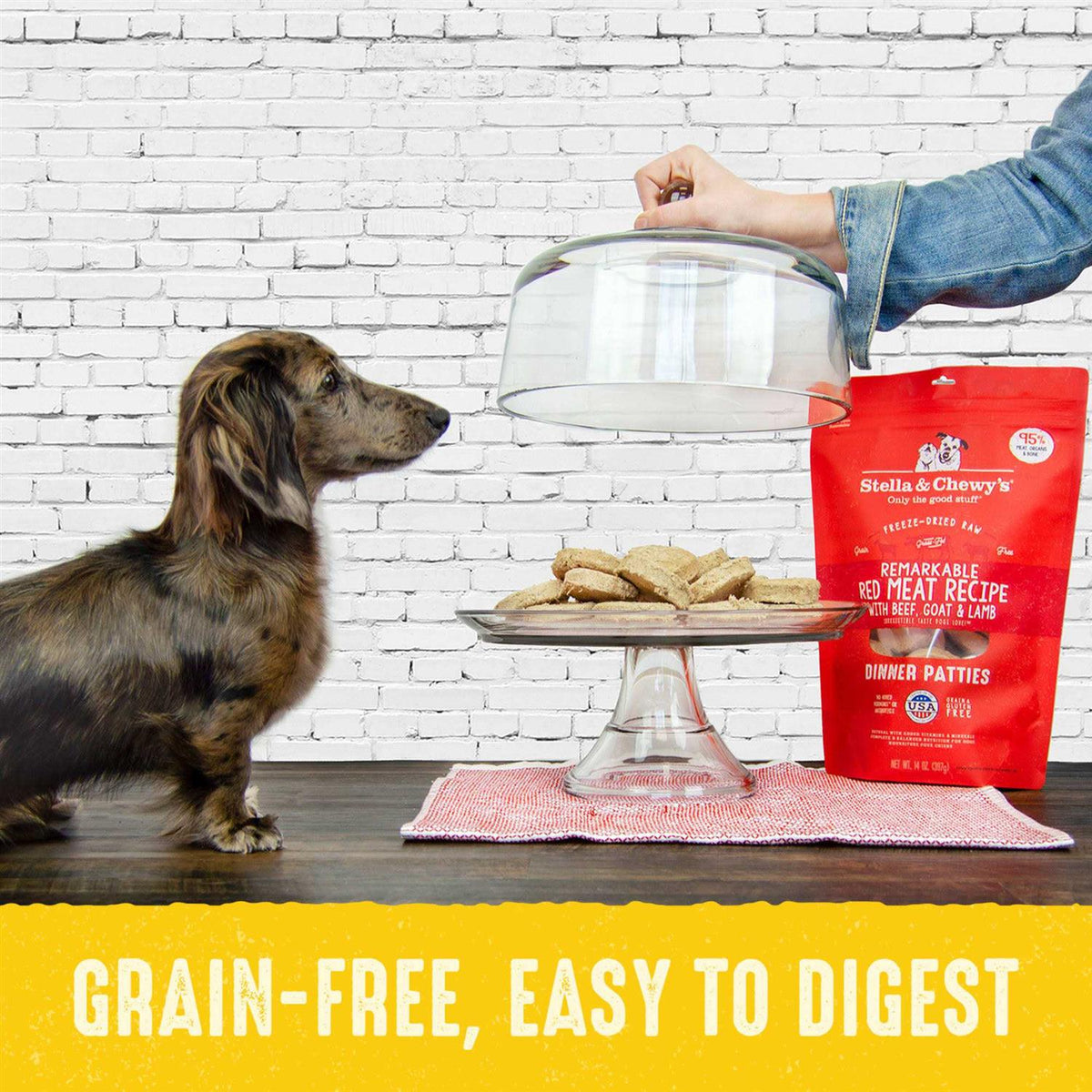 Chicken Freeze-Dried Dog Food R76082
