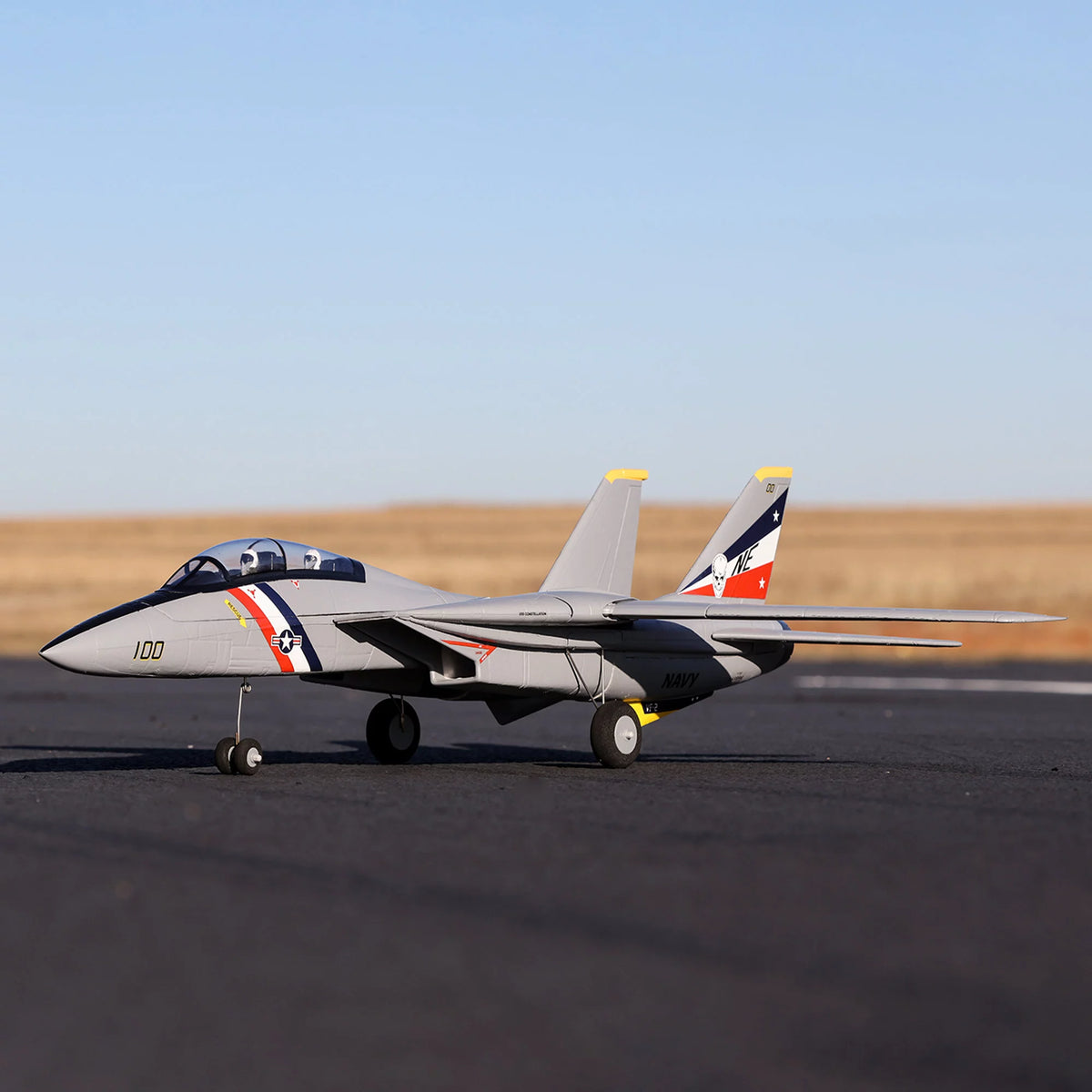 RC Airplane F-14 Tomcat Twin 40mm EDF Electric E2033