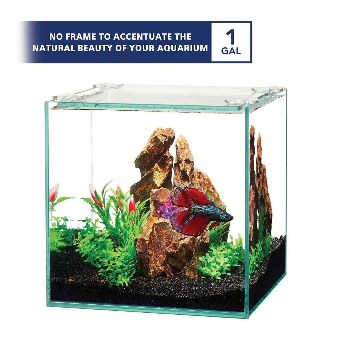 Frameless Cube Aquarium G12751
