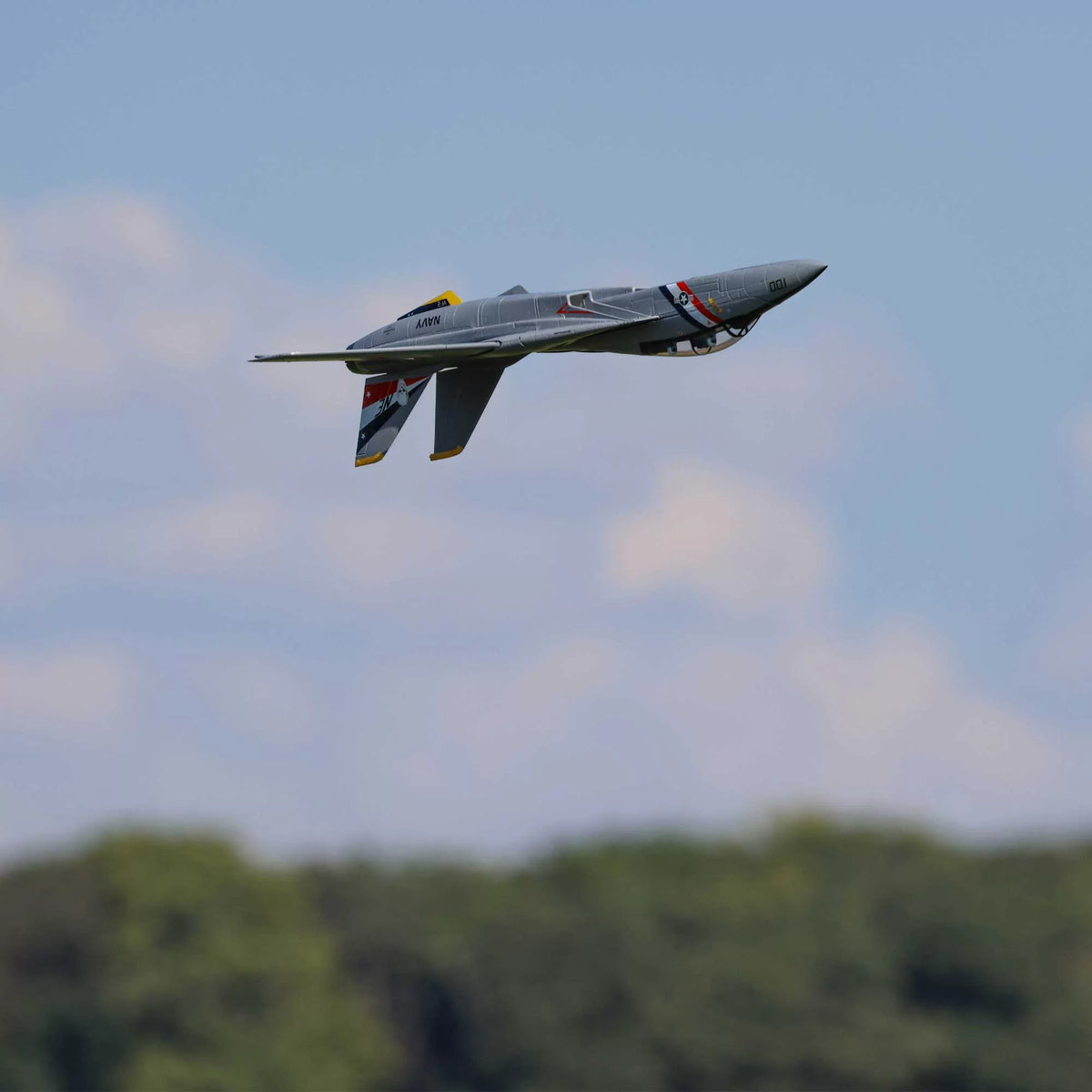 RC Airplane F-14 Tomcat Twin 40mm EDF Electric E2033