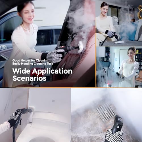 2500w Handheld Steam Cleaner D6519