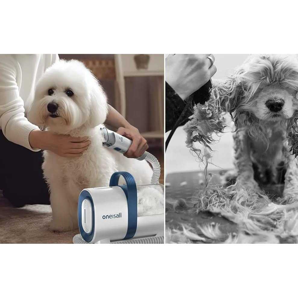 Dog Hair Vacuum & Dog Grooming Kit Q73644