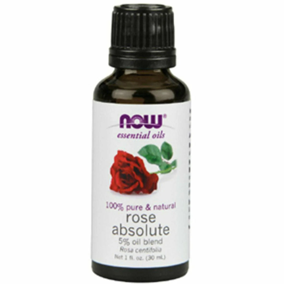 Rose Absolute 5% Blend Oil 1 oz B44435