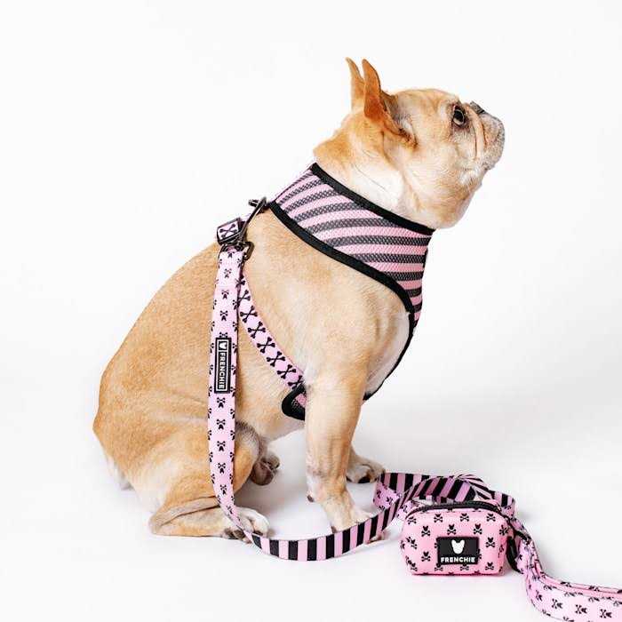 Reversible Harness L264753