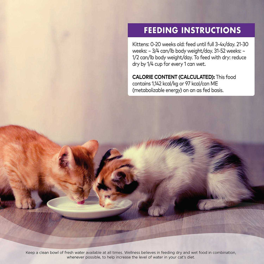 Cat Food I5093