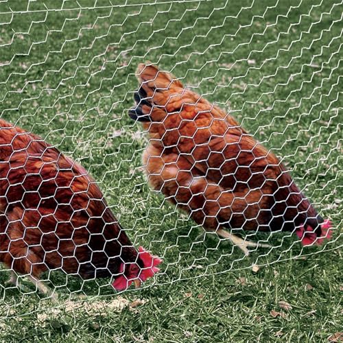 2 Inch Mesh 24 Inch X 150 Foot 20 Gauge Galvanized Steel Wire Fence X18019