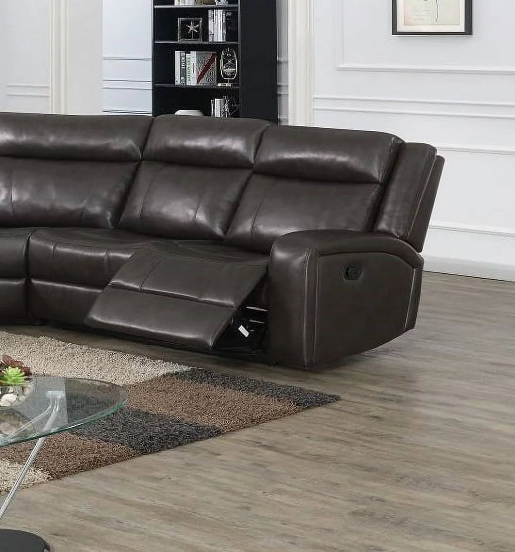 Dark Brown Reclining Sectional Sofa Set D517040