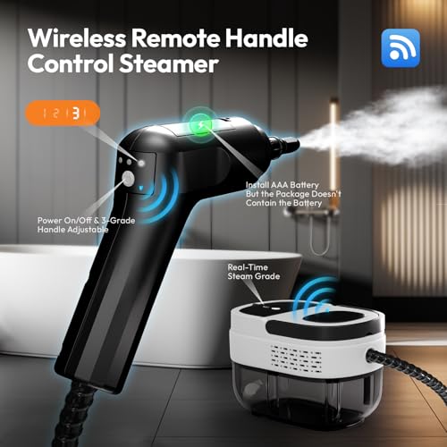 2500w Handheld Steam Cleaner D6519