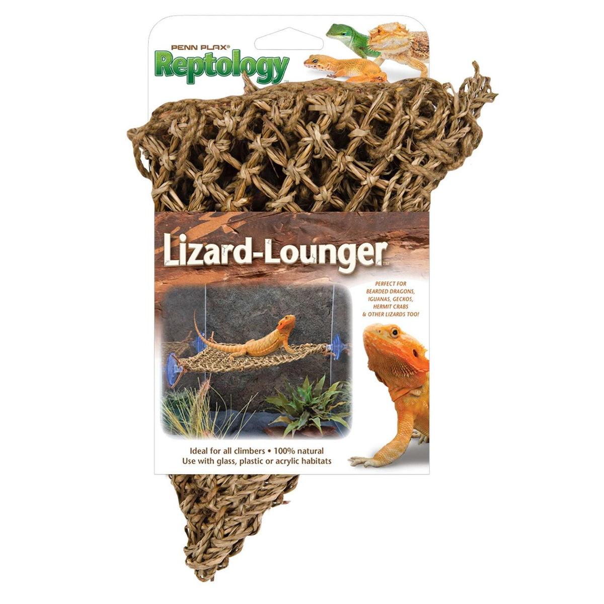 Lizard Lounger H86398